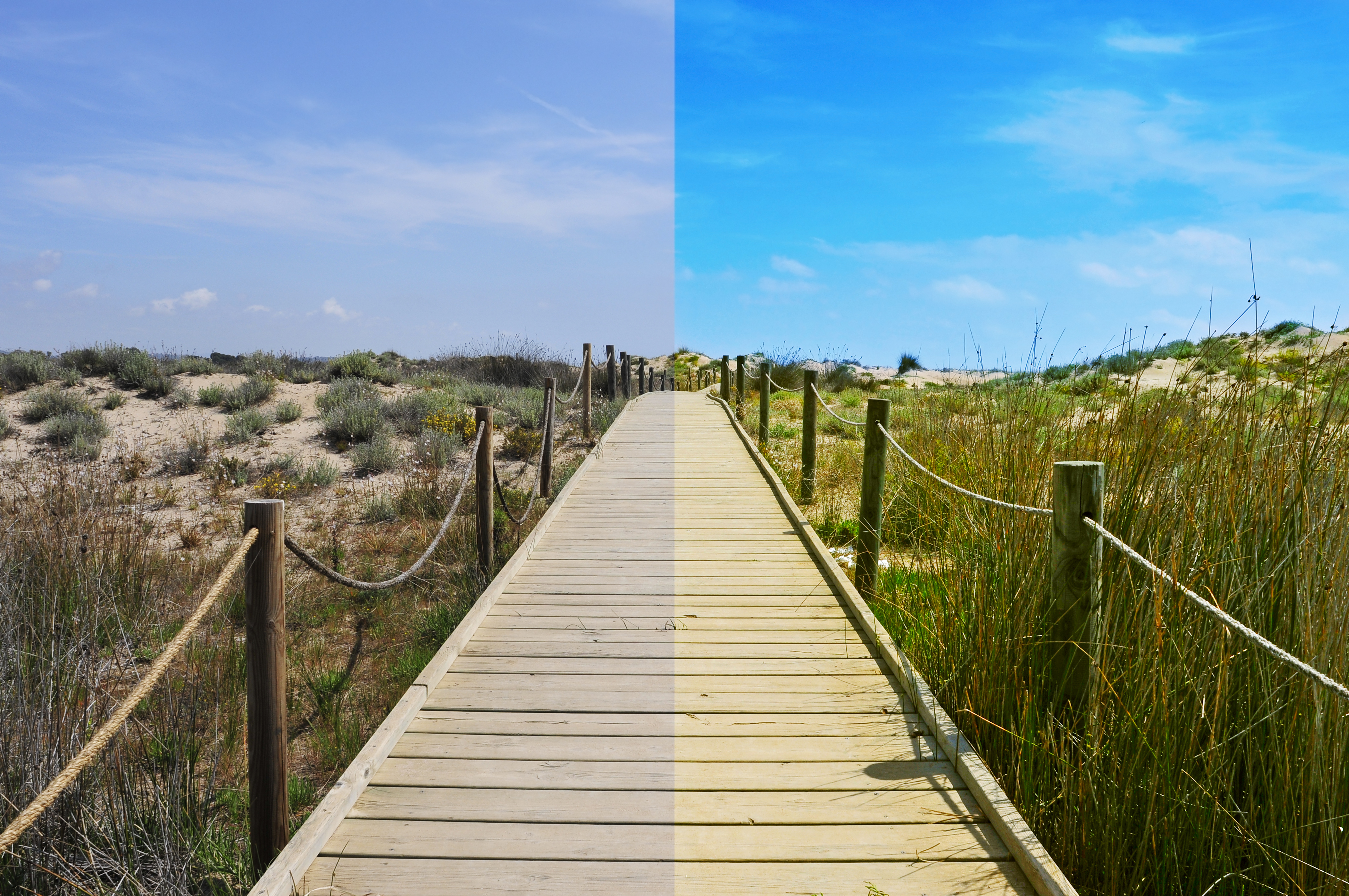 Fotografía antes y después de editar